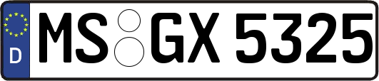 MS-GX5325