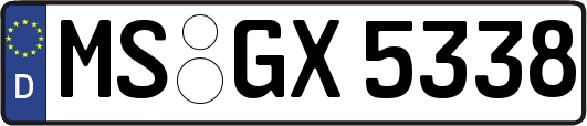 MS-GX5338