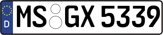 MS-GX5339