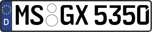 MS-GX5350