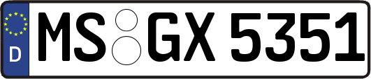 MS-GX5351