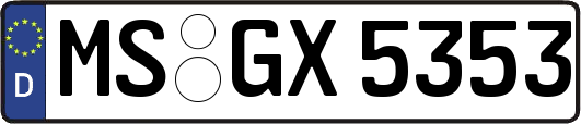 MS-GX5353