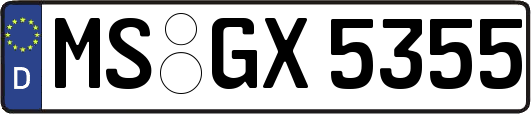 MS-GX5355