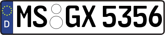 MS-GX5356