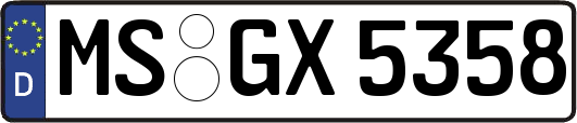 MS-GX5358