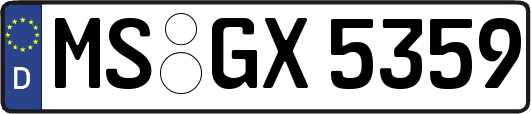 MS-GX5359