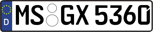 MS-GX5360