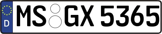 MS-GX5365