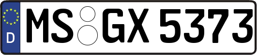 MS-GX5373