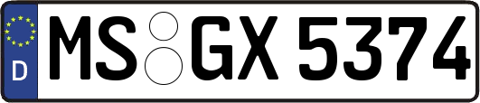 MS-GX5374
