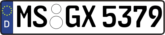 MS-GX5379