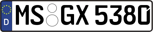 MS-GX5380