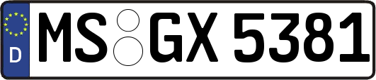 MS-GX5381