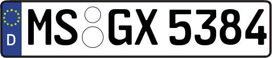 MS-GX5384