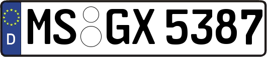 MS-GX5387