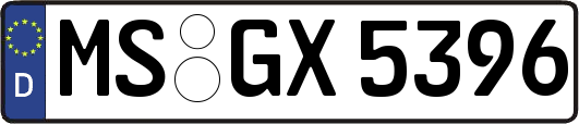 MS-GX5396