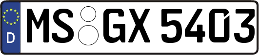 MS-GX5403