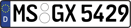 MS-GX5429