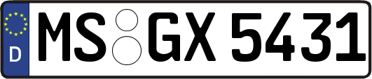 MS-GX5431
