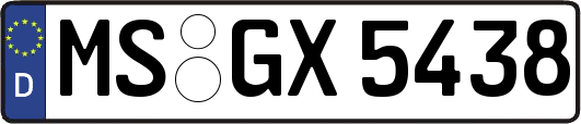 MS-GX5438
