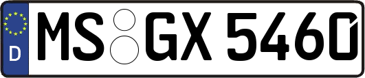 MS-GX5460