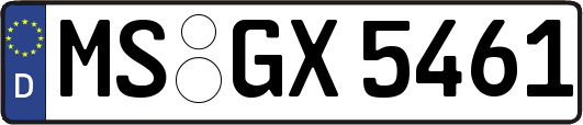 MS-GX5461