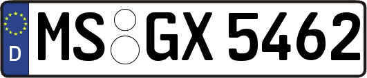 MS-GX5462