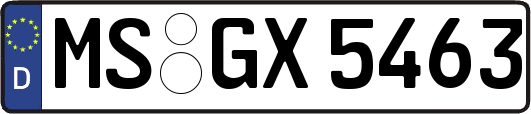 MS-GX5463