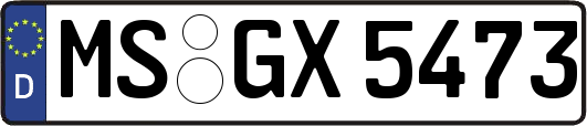 MS-GX5473