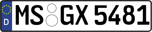 MS-GX5481