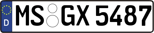 MS-GX5487