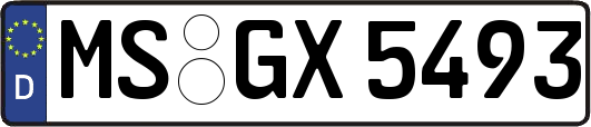 MS-GX5493