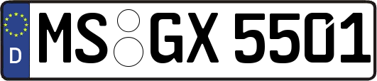 MS-GX5501