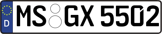 MS-GX5502