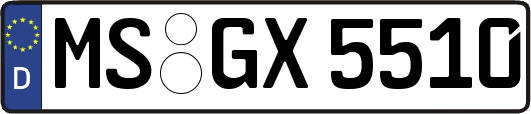 MS-GX5510