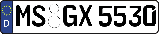 MS-GX5530
