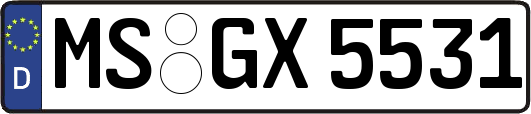 MS-GX5531