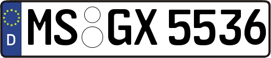 MS-GX5536