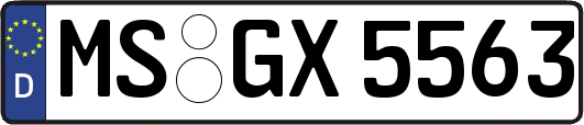 MS-GX5563
