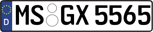 MS-GX5565