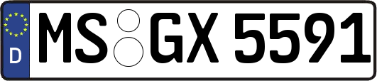 MS-GX5591
