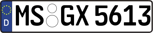 MS-GX5613