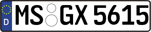 MS-GX5615