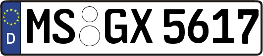 MS-GX5617