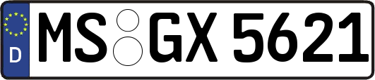 MS-GX5621