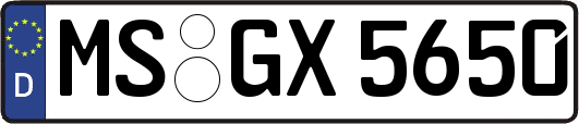 MS-GX5650