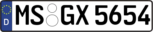 MS-GX5654