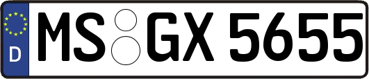 MS-GX5655