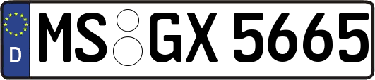 MS-GX5665