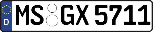 MS-GX5711